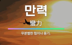🌟만력: 무분별한 힘이나 용기. - 표준국어대사전