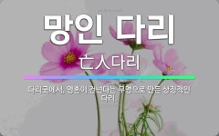 🌟망인 다리: 다리굿에서, 영혼이 건넌다는 무명으로 만든 상징적인 다리. - 표준국어대사전