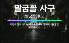 🌟말굽꼴 사구: 바람이 불어 나가는 쪽으로 볼록하게 튀어나온 말굽 모양의 사구. - 표준국어대사전