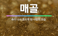 🌟매골: 축이 나서 못쓰게 된 사람의 모습. - 표준국어대사전