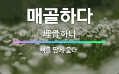 🌟매골하다: 뼈를 땅에 묻다. - 표준국어대사전
