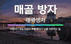 🌟매골 방자: 사람이나 짐승 따위의 뼈를 묻어서 남을 저주하는 일. - 표준국어대사전