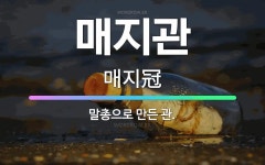 🌟매지관: 말총으로 만든 관. - 표준국어대사전