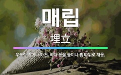 🌟매립: 우묵한 땅이나 하천, 바다 등을 돌이나 흙 따위로 채움. - 표준국어대사전