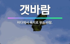 🌟갯바람: 바다에서 육지로 부는 바람. - 표준국어대사전