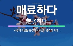 🌟매료하다: 사람의 마음을 완전히 사로잡아 홀리게 하다. - 표준국어대사전