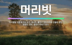 머리하는 가게 참빗 | 🌟머리빗: 머리털을 빗을 때 쓰는 도구. 대나무, 뿔이나 금속 따위로 만들며 참빗, 얼레빗, 면빗, 음양소... - 표준국어대사전