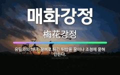 🌟매화강정: 유밀과의 하나. 찰벼로 튀긴 튀밥을 꿀이나 조청에 묻혀 만든다. - 표준국어대사전