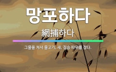 🌟망포하다: 그물을 쳐서 물고기, 새, 짐승 따위를 잡다. - 표준국어대사전