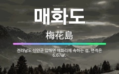 🌟매화도: 전라남도 신안군 압해면 매화리에 속하는 섬. 면적은 6.67㎢. - 표준국어대사전