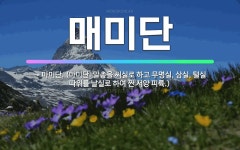 🌟매미단: → 마미단. (마미단: 말총을 씨실로 하고 무명실, 삼실, 털실 따위를 날실로 하여 짠 서양 피륙.) - 표준국어대사전