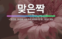 🌟맞은짝: → 맞은편. (맞은편: 서로 마주 바라보이는 편., 상대가 되는 사람.) - 표준국어대사전