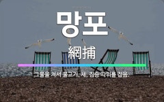 🌟망포: 그물을 쳐서 물고기, 새, 짐승 따위를 잡음. - 표준국어대사전