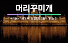 🌟머리꾸미개: 머리를 보기 좋게 꾸미는 물건을 통틀어 이르는 말. - 표준국어대사전