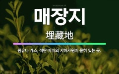 🌟매장지: 원유나 가스, 석탄 따위의 지하자원이 묻혀 있는 곳. - 표준국어대사전