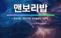 🌟맨보리밥: → 꽁보리밥. (꽁보리밥: 보리쌀로만 지은 밥.) - 표준국어대사전