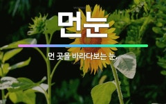 🌟먼눈: 먼 곳을 바라다보는 눈. - 표준국어대사전