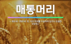 🌟매통머리: → 매무새. (매무새: 옷, 머리 따위를 수습하여 입거나 손질한 모양새.) - 표준국어대사전