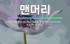 🌟맨머리: 낭자를 하지 아니하고 그대로 쪽 찐 머리., 아무것도 쓰지 아니한 머리. - 표준국어대사전