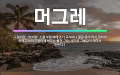 🌟머그레: → 부리망. (부리망: 소를 부릴 때에 소가 곡식이나 풀을 뜯어 먹지 못하게 하려고 소의 주둥이... - 표준국어대사전