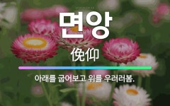 🌟면앙: 아래를 굽어보고 위를 우러러봄. - 표준국어대사전