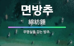 🌟면방추: 무명실을 감는 방추. - 표준국어대사전