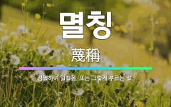 멸칭: 경멸하여 일컬음. 또는 그렇게 부르는 말. - 표준국어대사전