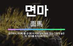 🌟면마: 장기에서, 마(馬)를 궁(宮)의 바로 앞에 놓음. 또는 그렇게 놓은 마. 방어를 목적으로 한다. - 표준국어대사전