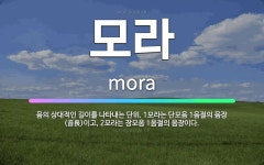 🌟모라: 음의 상대적인 길이를 나타내는 단위. 1모라는 단모음 1음절의 음장(音長)이고, 2모라는 장모음 ... - 표준국어대사전