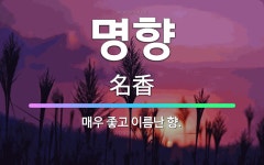 🌟명향: 매우 좋고 이름난 향. - 표준국어대사전