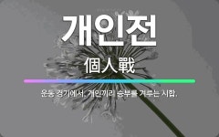 🌟개인전: 운동 경기에서, 개인끼리 승부를 겨루는 시합. - 표준국어대사전