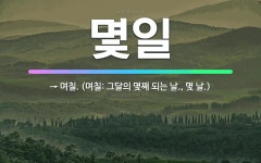 🌟몇일: → 며칠. (며칠: 그달의 몇째 되는 날., 몇 날.) - 표준국어대사전