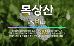 🌟목상산: 장미과의 낙엽 활엽 교목. 높이는 1.5~2미터이며 잎은 어긋나고 타원형으로 가장자리에 잔톱니가... - 표준국어대사전