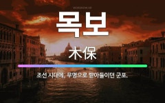 🌟목보: 조선 시대에, 무명으로 받아들이던 군포. - 표준국어대사전