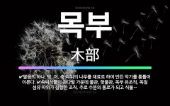 🌟목부: 속씨식물의 관다발 가운데 물관, 헛물관, 목부 유조직, 목질 섬유 따위가 집합한 조직. 주로 수분... - 표준국어대사전