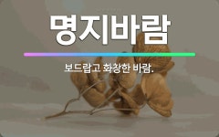🌟명지바람: 보드랍고 화창한 바람. - 표준국어대사전