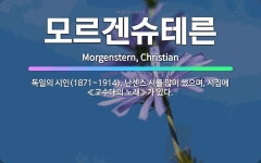 🌟모르겐슈테른: 독일의 시인(1871~1914). 난센스 시를 많이 썼으며, 시집에 ≪교수대의 노래≫가 있다. - 표준국어대사전