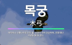 🌟목궁: 애끼찌나 산뽕나무로 만든 활. 모양이 극히 단순하며, 전쟁 때나 사냥을 할 때 썼다. - 표준국어대사전