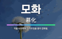 🌟모화: 덕을 사모하여 그 가르침을 좇아 감화됨. - 표준국어대사전