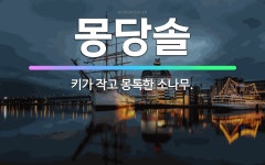 🌟몽당솔: 키가 작고 몽톡한 소나무. - 표준국어대사전