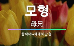 🌟모형: 한 어머니에게서 난 형. - 표준국어대사전