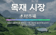🌟목재 시장: 목재가 집합적으로 매매되는 시장. 생산지, 집산지 및 소비지 시장의 세 가지가 있다. - 표준국어대사전