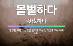 🌟몰벌하다: 일정한 부분의 산림을 일시에 또는 단기간에 모두 베어 내다. - 표준국어대사전