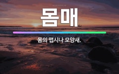 🌟몸매: 몸의 맵시나 모양새. - 표준국어대사전