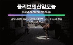 🌟몰리브덴산암모늄: 암모니아의 파라몰리브데넘산염. 인산 이온의 검출 시약으로 쓴다. - 표준국어대사전