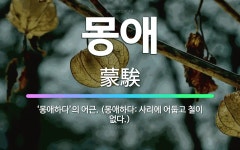 🌟몽애: ‘몽애하다’의 어근. (몽애하다: 사리에 어둡고 철이 없다.) - 표준국어대사전