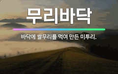 🌟무리바닥: 바닥에 쌀무리를 먹여 만든 미투리. - 표준국어대사전