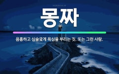 🌟몽짜: 음흉하고 심술궂게 욕심을 부리는 짓. 또는 그런 사람. - 표준국어대사전