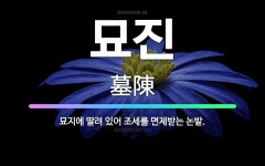🌟묘진: 묘지에 딸려 있어 조세를 면제받는 논밭. - 표준국어대사전