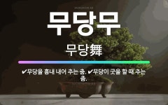 🌟무당무: 무당이 굿을 할 때 추는 춤., 무당을 흉내 내어 추는 춤. - 표준국어대사전